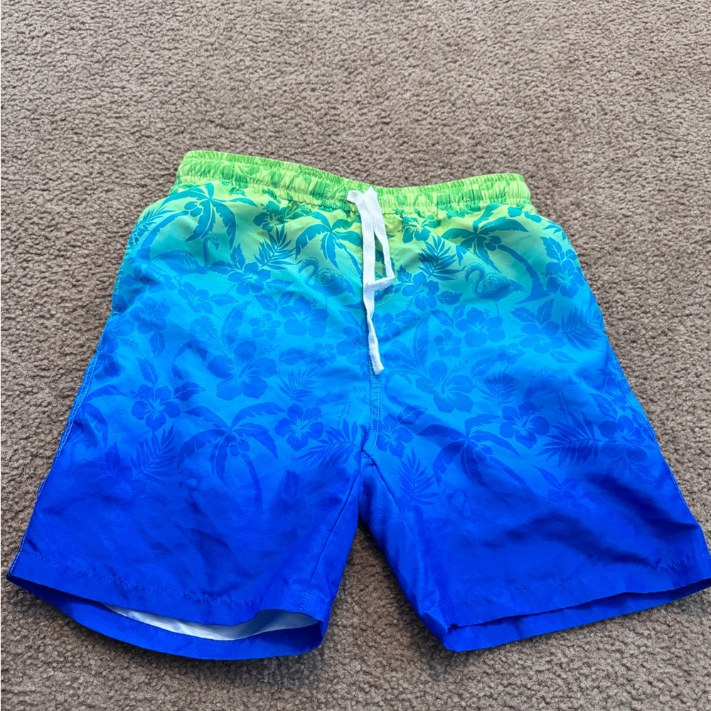 Blue Gradient Swim Shorts